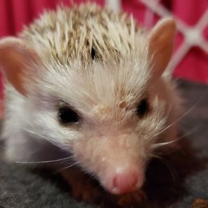 Meet your Posher, Erin